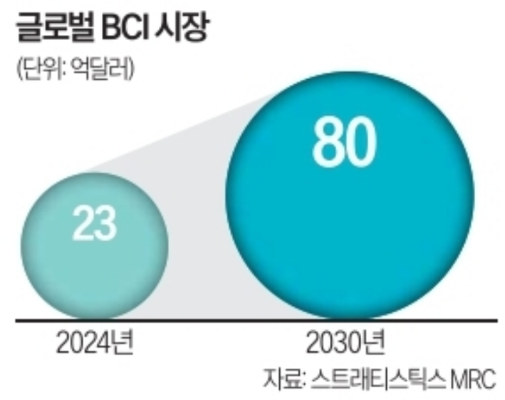 글로벌BCI시장