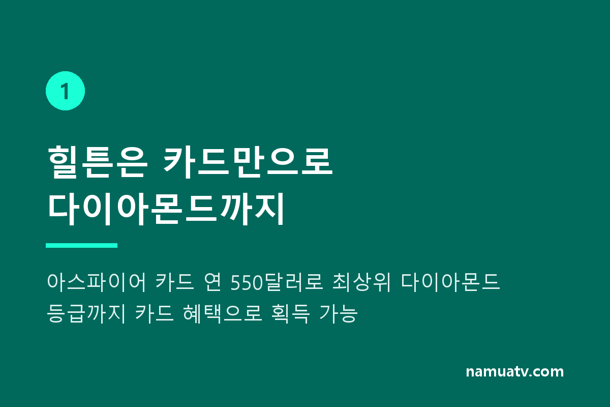 어떤 주요 신용카드가 호텔 엘리트 등급을 제공하나요? - 힐튼은 카드만으로 다이아몬드까지