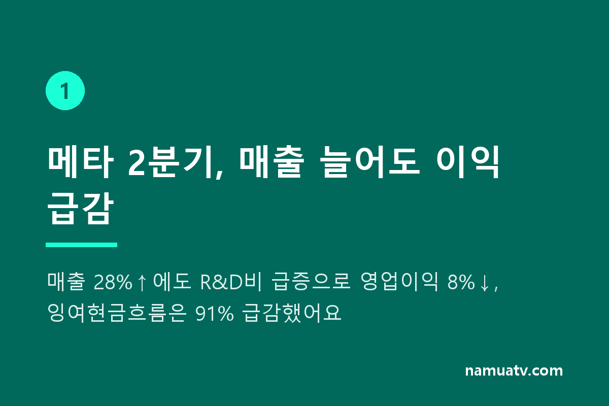 ms는 날고 메타는 기고, ai수익화가 가른 성적표 - 메타 2분기, 매출 늘어도 이익 급감