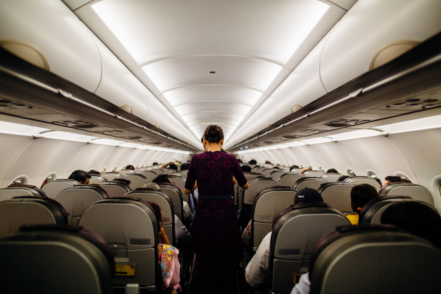 먹방 유튜버, 한 비행기에서 20번이나 음식을 주문한 후 사과하다 - flight attendant serving food cabin economy