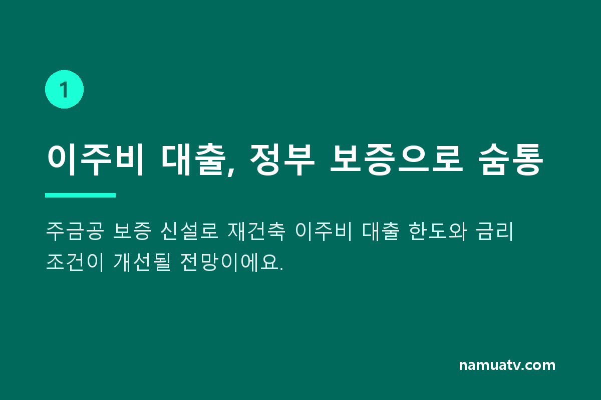 추가 이주비 대출도 정부가 보증 서울 '재건축 시계'빨라지나 - 이주비 대출, 정부 보증으로 숨통