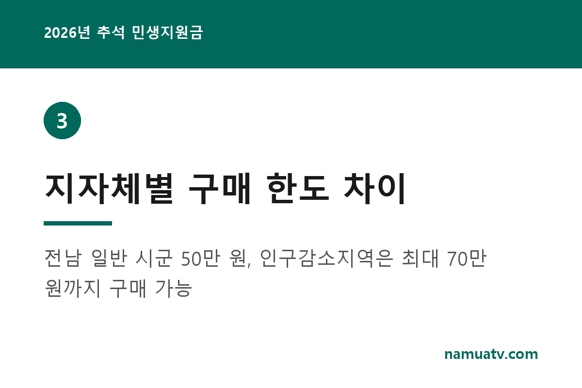 2026년 추석 민생지원금 - 지자체별 구매 한도 차이