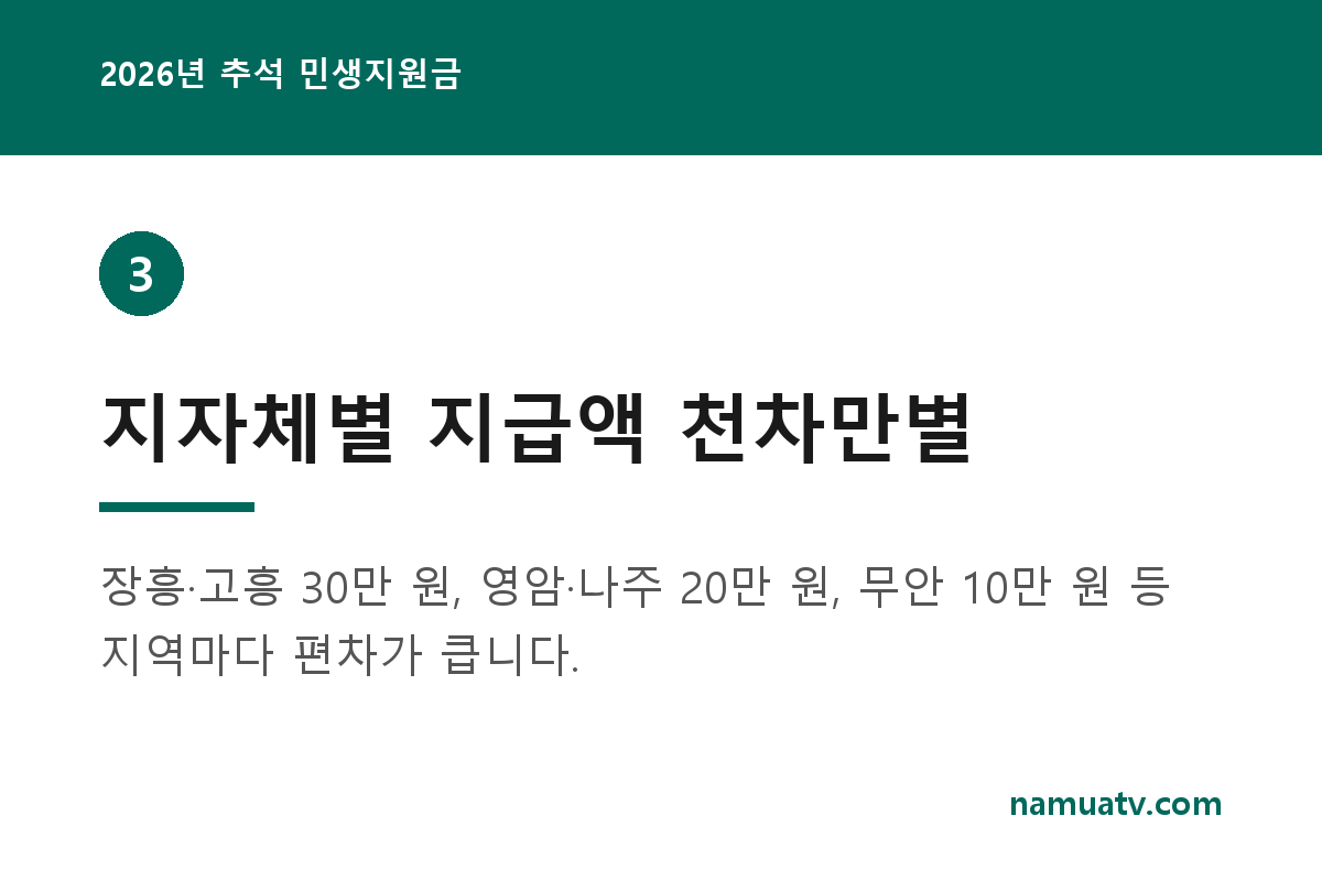 2026년 추석 민생지원금 - 지자체별 지급액 천차만별