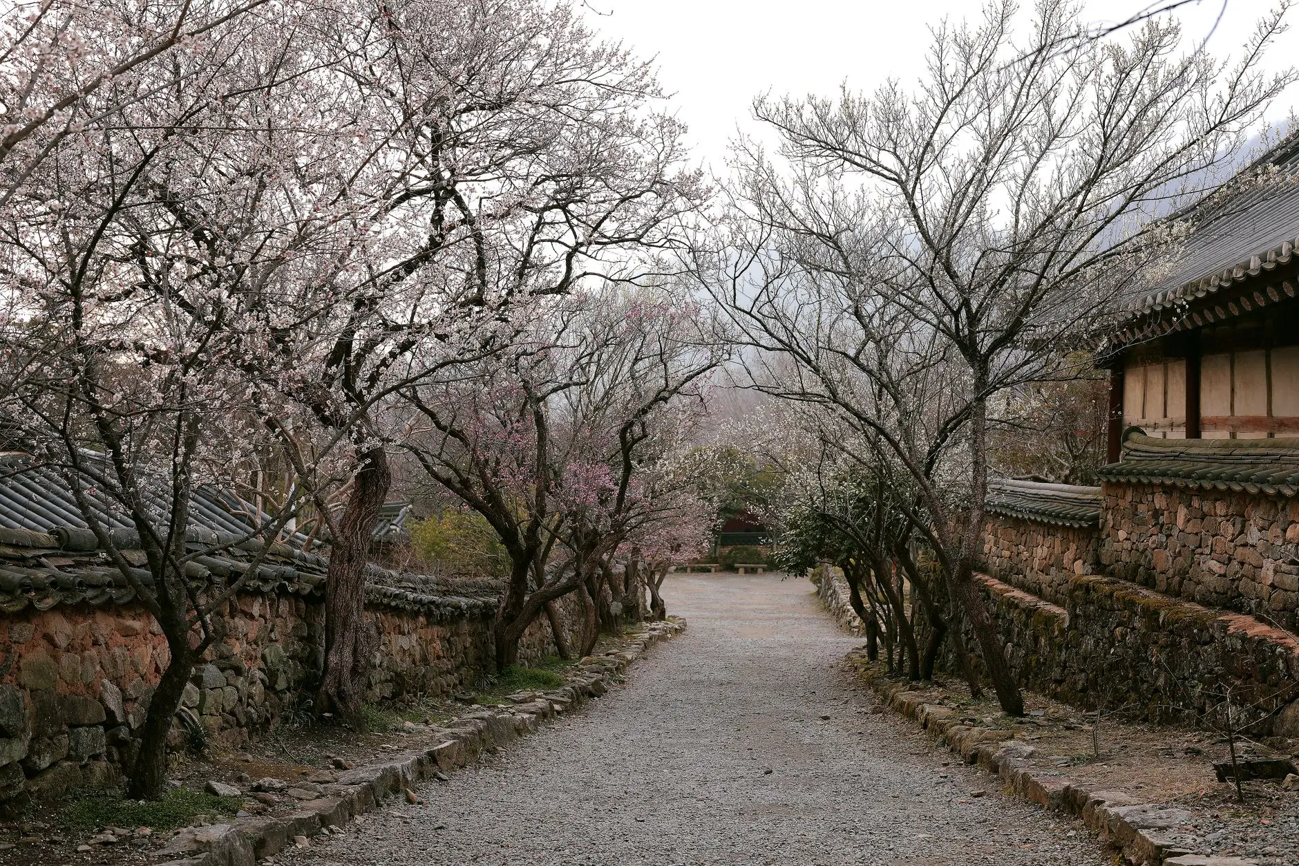 ‘부자 기운 받으러 오세요’…경남도, ‘K-거상’ 관광루트 띄운다 - Korean countryside village stone wall path